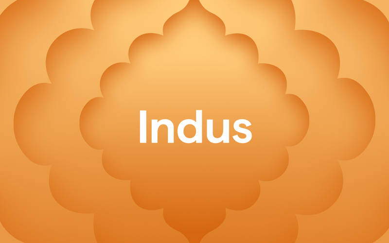 Introducing Indus